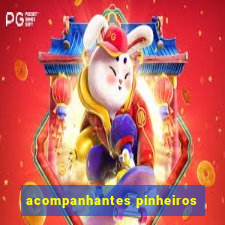 acompanhantes pinheiros